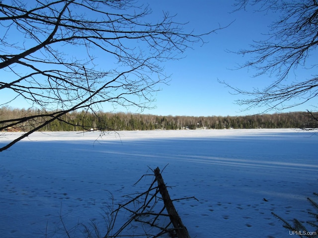 Listing photo 2 for TBD W Duck Lake Rd, Watersmeet MI 49969