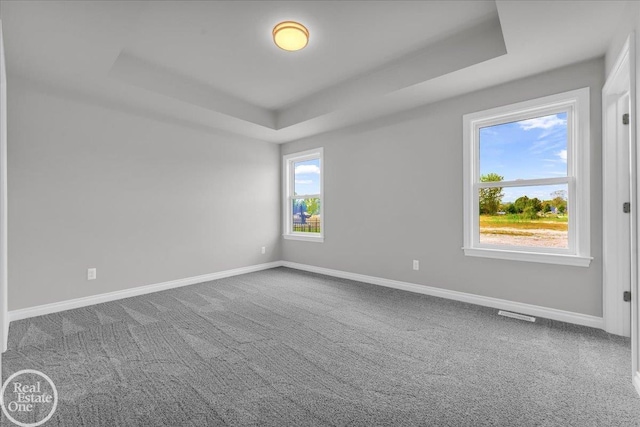 unfurnished room with carpet and a tray ceiling