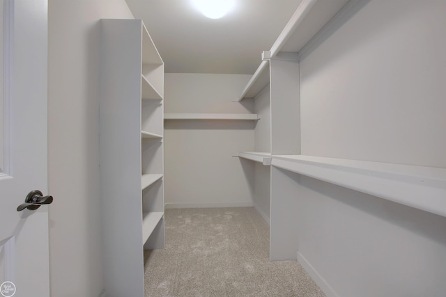 walk in closet with light colored carpet