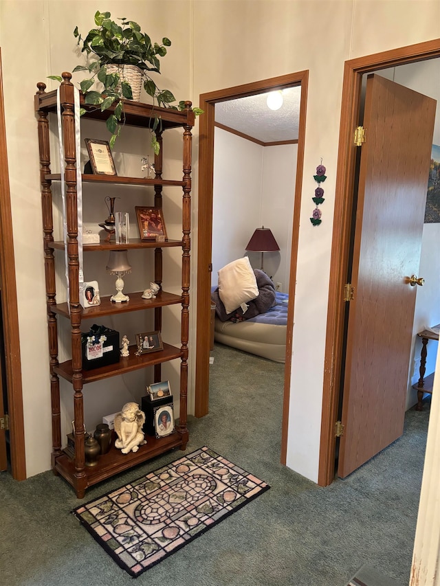 hall featuring crown molding and carpet