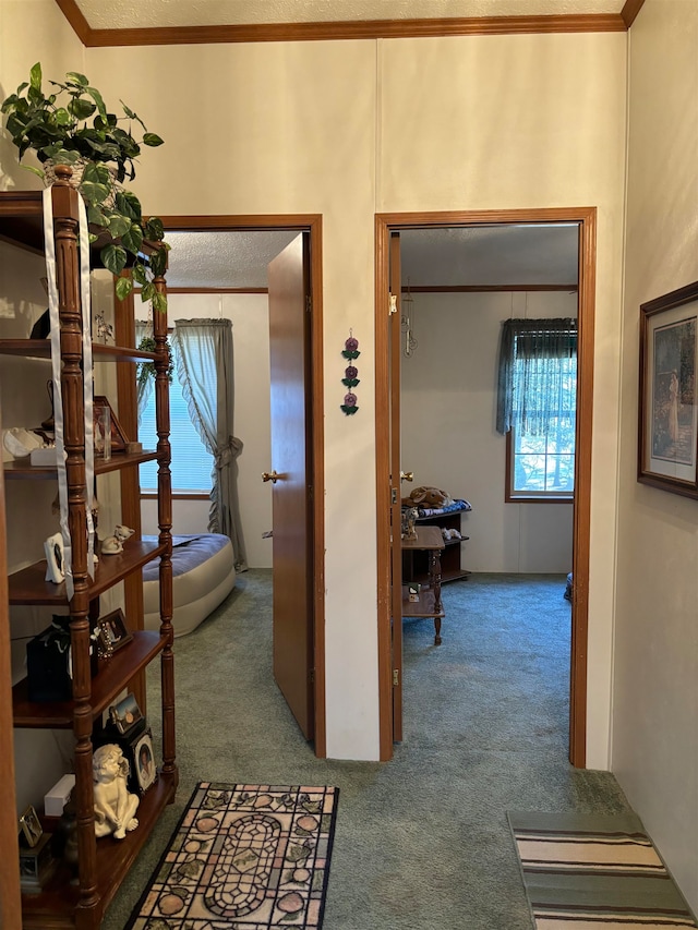 hallway with crown molding and carpet flooring