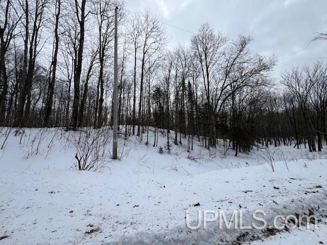 Listing photo 2 for TBD 26 Road, Trenary MI 49891