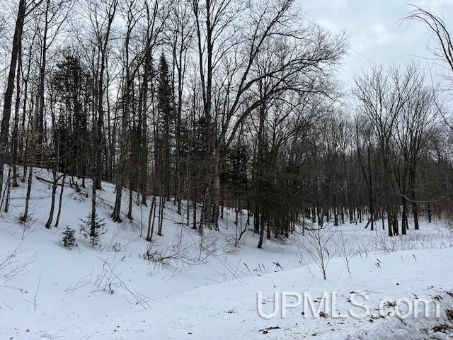 Listing photo 3 for TBD 26 Road, Trenary MI 49891