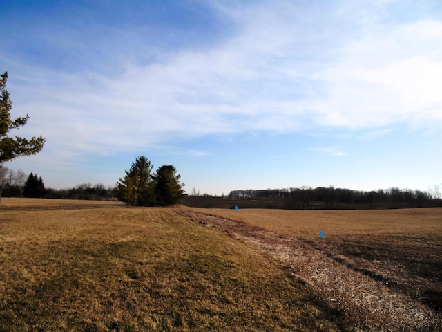 view of road with a rural view