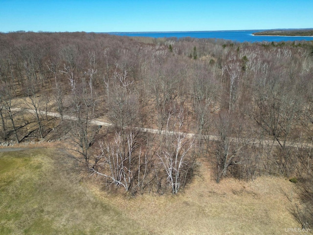 TBD 18.25 Ln, Garden MI, 49835 land for sale