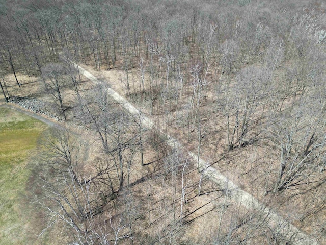 TBD 18.25 Ln, Garden, MI 49835