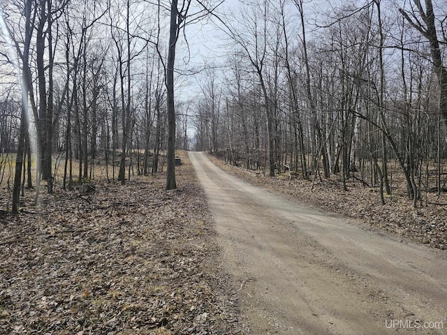 TBD 18.25 Ln, Garden, MI 49835