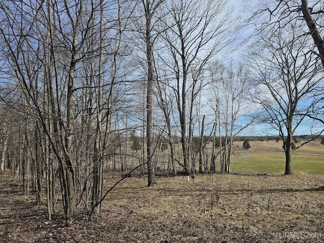 TBD 18.25 Ln, Garden, MI 49835