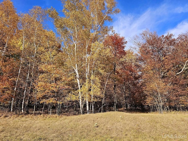 TBD 18.25 Ln, Garden, MI 49835