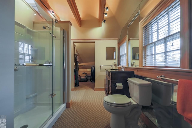 bathroom featuring toilet, a shower with shower door, and vanity