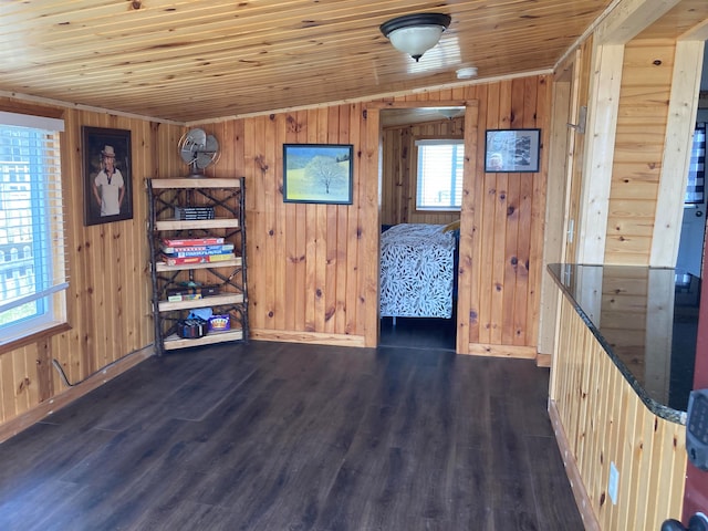 interior space featuring wooden ceiling, wooden walls, and dark hardwood / wood-style floors