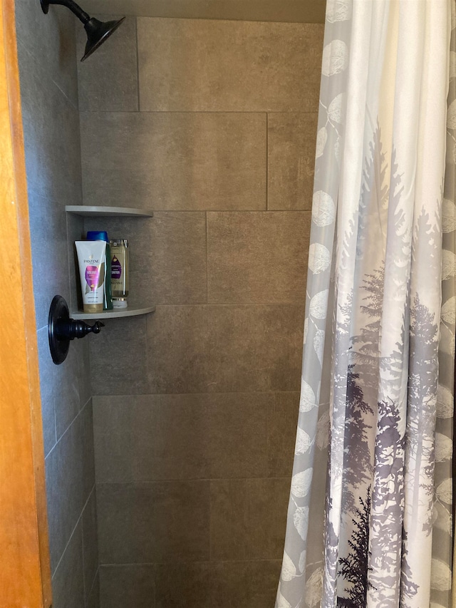 interior details with a shower with curtain