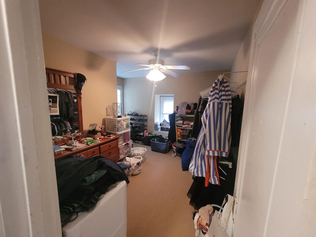 spacious closet featuring ceiling fan and carpet floors