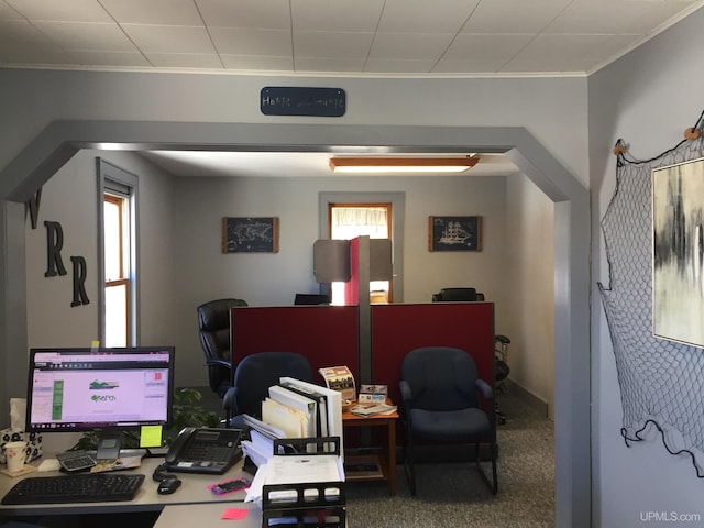 office featuring a wealth of natural light and dark colored carpet