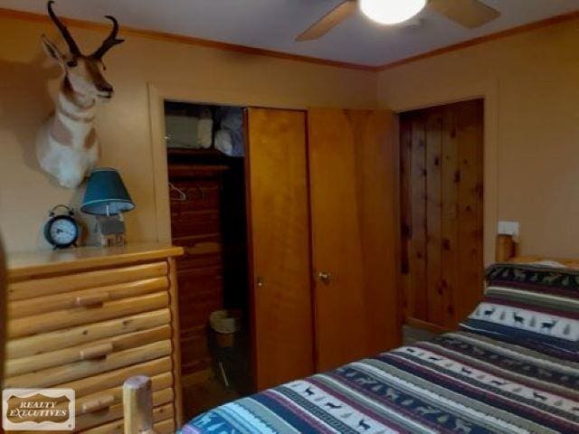 bedroom with a closet and ceiling fan