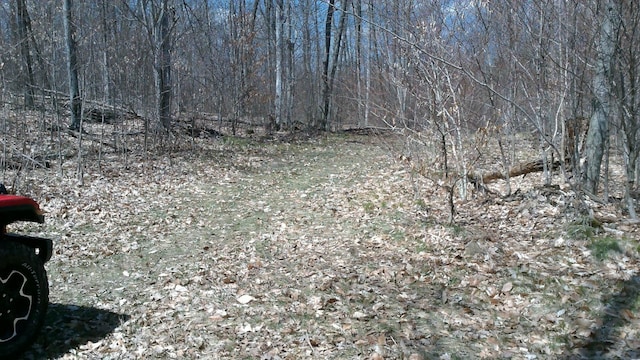 Listing photo 3 for NHN40ACRES Heath Rd, Lupton MI 48635