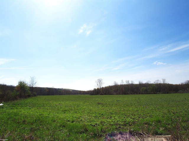 0 Gratiot Rd, Lenox MI, 48048 land for sale