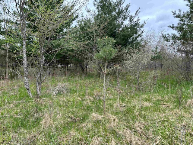 LOT292 Track Iron Trl, Gladwin MI, 48624 land for sale