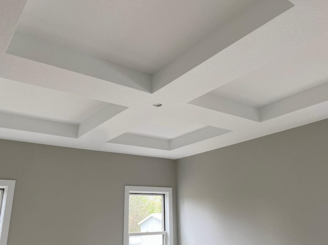 interior details featuring a tray ceiling