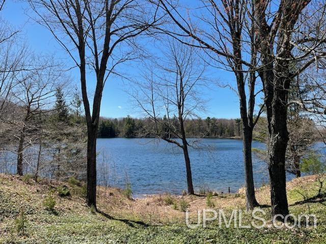 TBD Ackerman Lake Rd, Munising, MI 49862