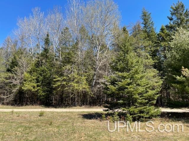 TBD Ackerman Lake Rd, Munising, MI 49862
