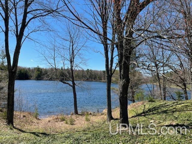 TBD Ackerman Lake Rd, Munising, MI 49862