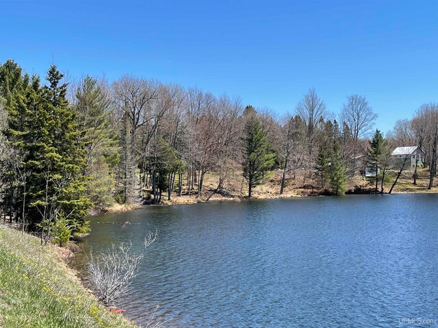 TBD Ackerman Lake Rd, Munising, MI 49862
