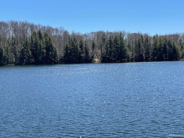TBD Ackerman Lake Rd, Munising, MI 49862