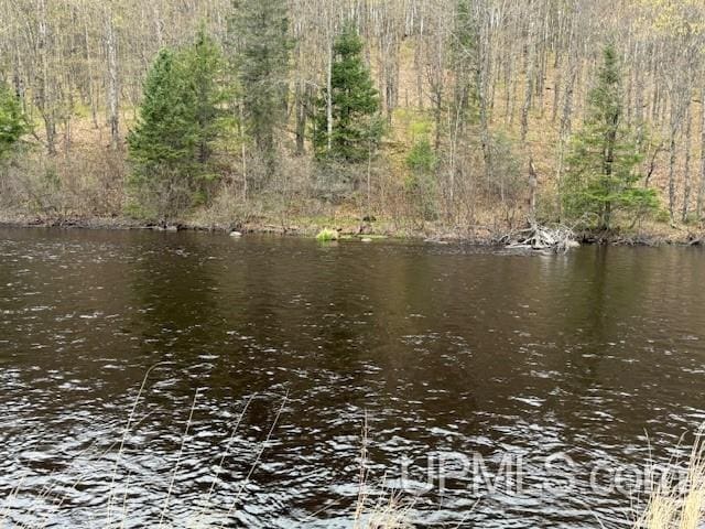 Listing photo 3 for TBD River Country Road, Iron River MI 49935