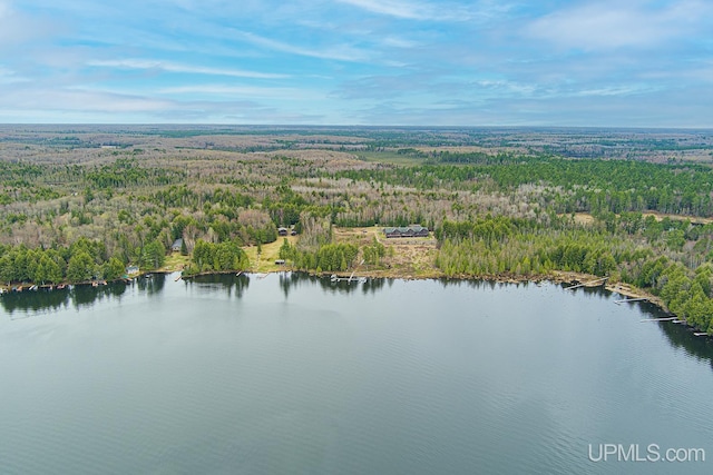 Listing photo 2 for ON Palmer Lake Road, Land O Lakes T-Wi WI 54540