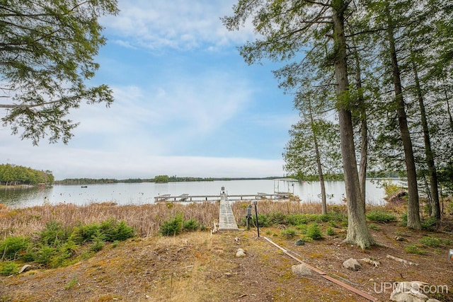 Listing photo 3 for ON Palmer Lake Road, Land O Lakes T-Wi WI 54540