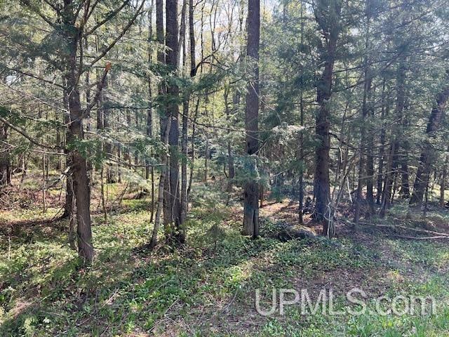 Listing photo 2 for TBD N Black River Rd, Ironwood MI 49938