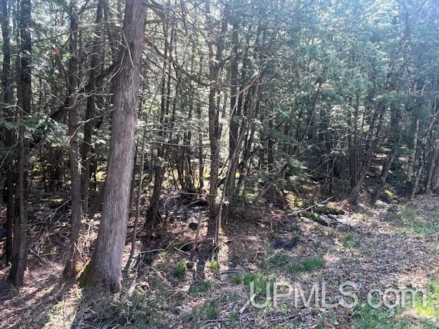 Listing photo 3 for TBD N Black River Rd, Ironwood MI 49938