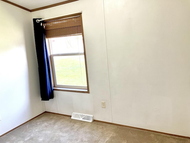 spare room featuring carpet floors and crown molding