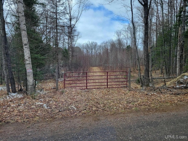 TBD Fence River Rd, Republic MI, 49879 land for sale