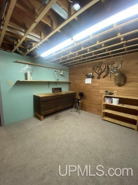 basement with carpet floors and wooden walls