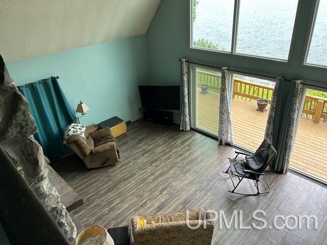 living room with wood-type flooring, high vaulted ceiling, and a textured ceiling