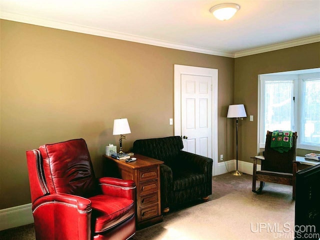 living area with carpet and crown molding