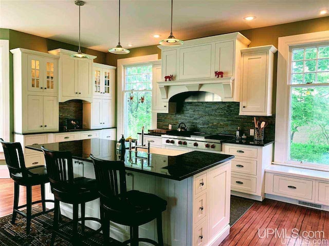 kitchen featuring a healthy amount of sunlight, a kitchen island with sink, and dark hardwood / wood-style flooring