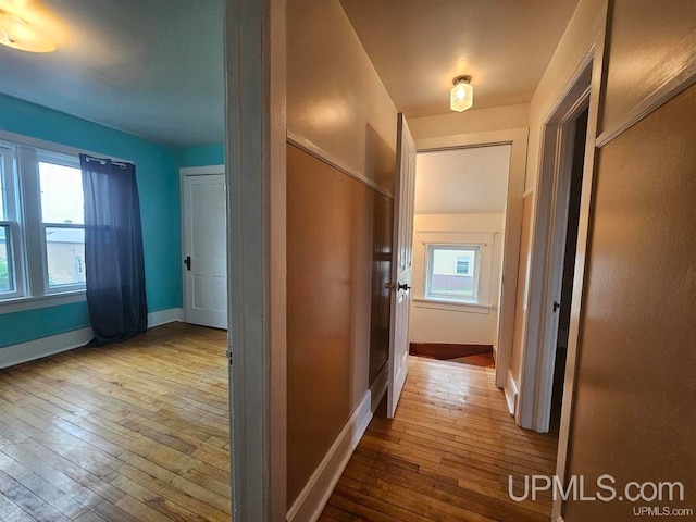 hall featuring light wood-type flooring and a wealth of natural light