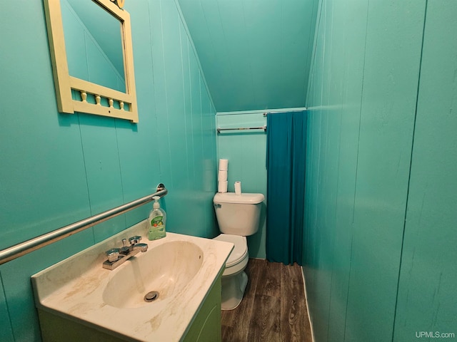 bathroom with vanity, toilet, and wood-type flooring