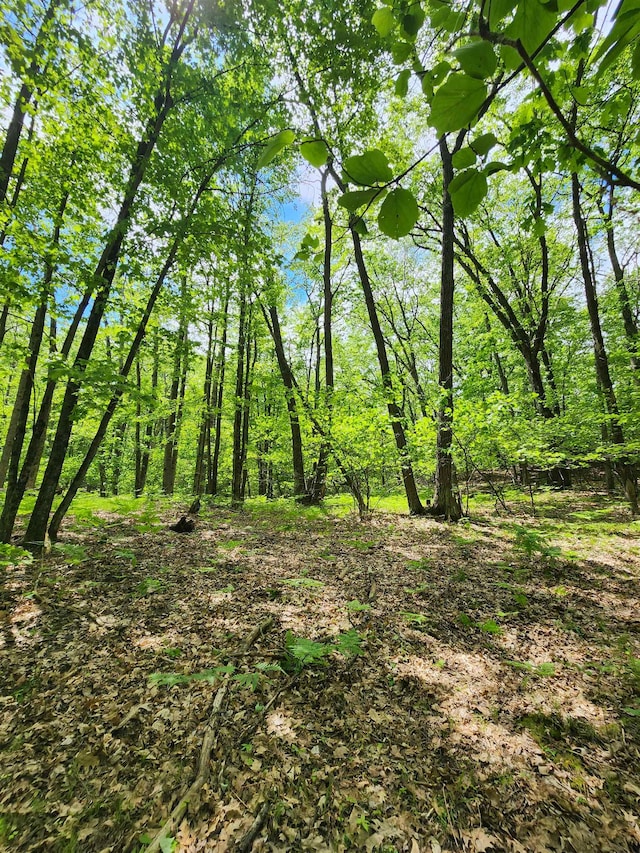 LOT827 Hemlock Ln, Farwell MI, 48622 land for sale