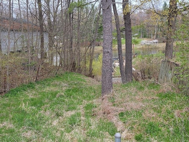 view of local wilderness with a water view