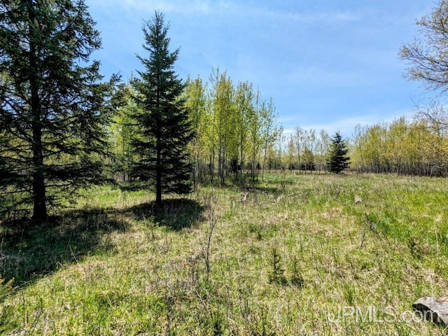 LOT14 Willow St, Gaastra MI, 49927 land for sale