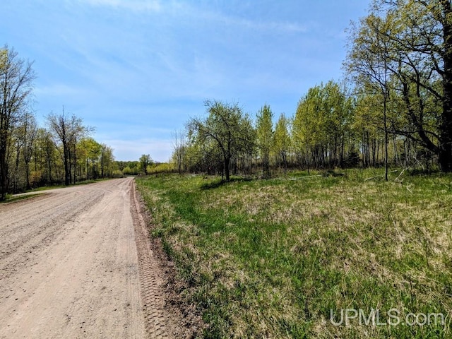 Listing photo 2 for LOT14 Willow St, Gaastra MI 49927