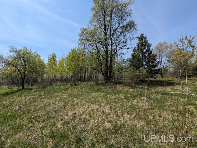 Listing photo 3 for LOT14 Willow St, Gaastra MI 49927