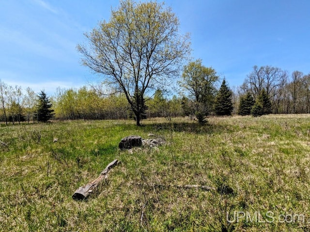 LOT19 Willow St, Gaastra MI, 49927 land for sale