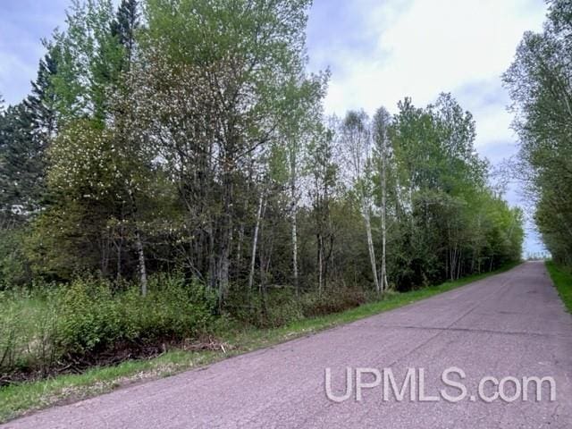 Listing photo 3 for 51465 Marttila Rd, Atlantic Mine MI 49905