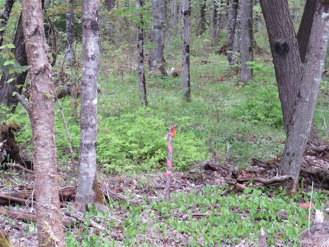 TBD Silver Mountain Road, Pelkie MI, 49958 land for sale