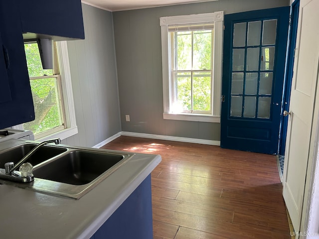 kitchen with sink, a healthy amount of sunlight, blue cabinetry, and hardwood / wood-style flooring